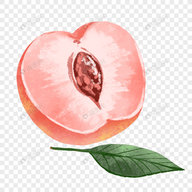 WWW,se276·COM网站APPAPP应用